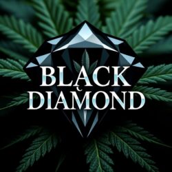 Black Diamond