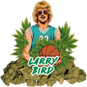 Larry Bird