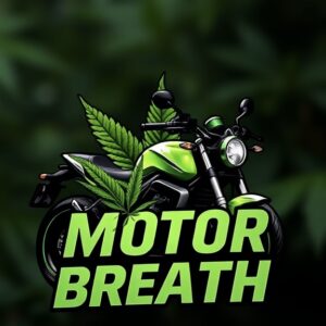 Z - Motor breath🏍️