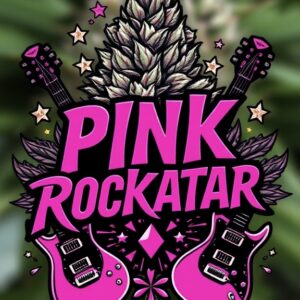 HIGH QUALITY  BC Pink Rockstar