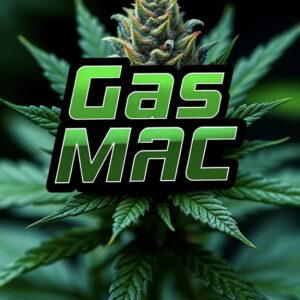 Z - GAS MAC⛽️