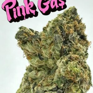 PINK GAS – HIGH QUALITY