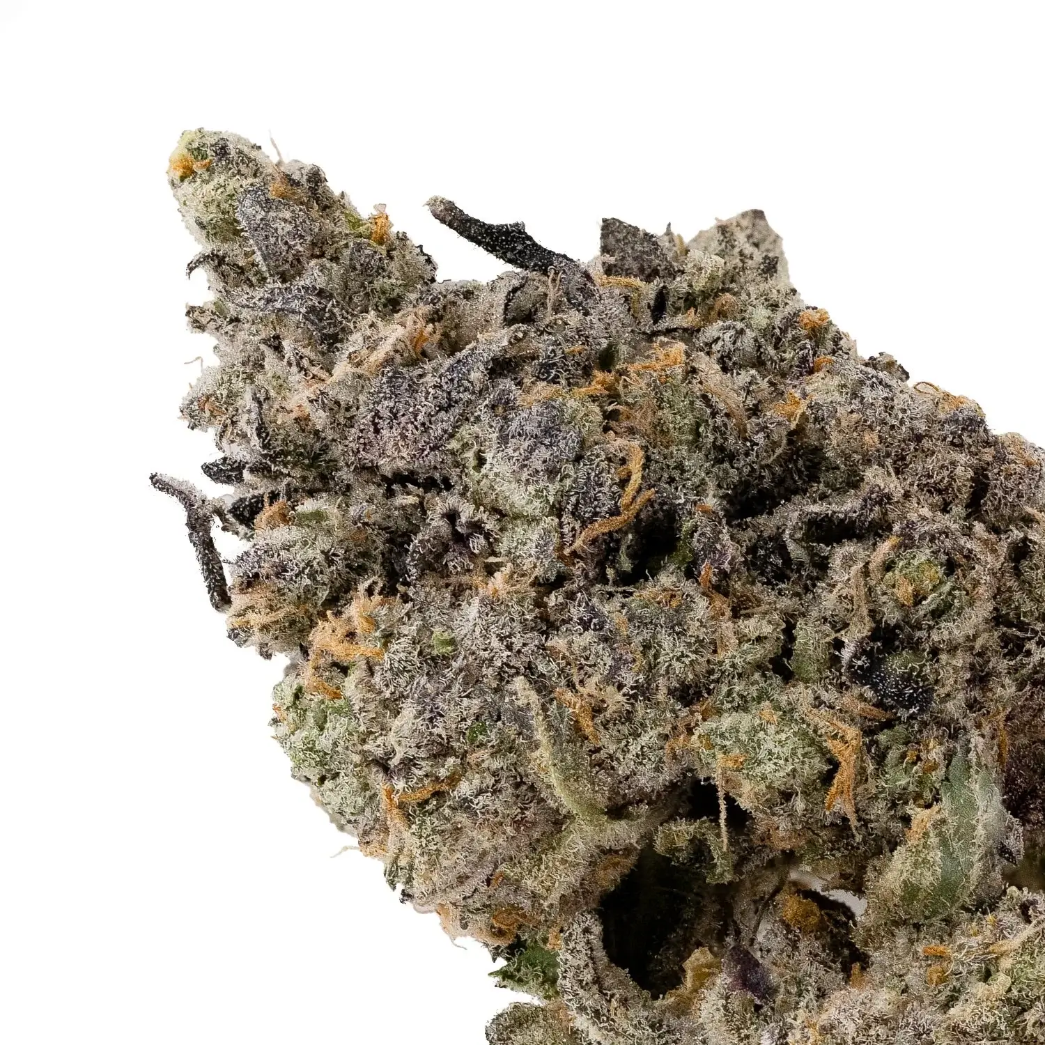 Blackberry Octane OG (31.84% THC) | Gatineau & Ottawa Weed Delivery | Quick Green