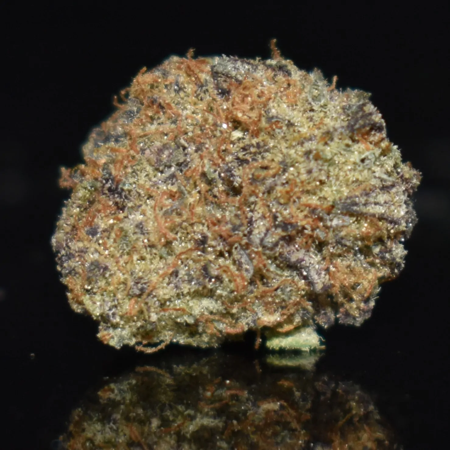 Snake Venom | Gatineau & Ottawa Weed Delivery