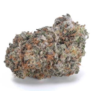 Versace Pink | Gatineau & Ottawa Weed Delivery