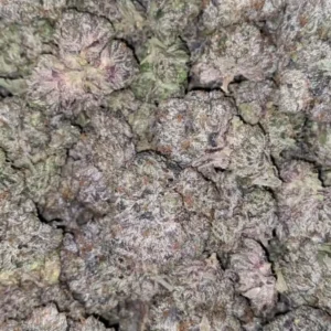 Pink Memory Loss | Gatineau & Ottawa Weed Delivery