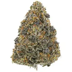 Zombie Kush OG | Gatineau & Ottawa Weed Delivery | Quick Green