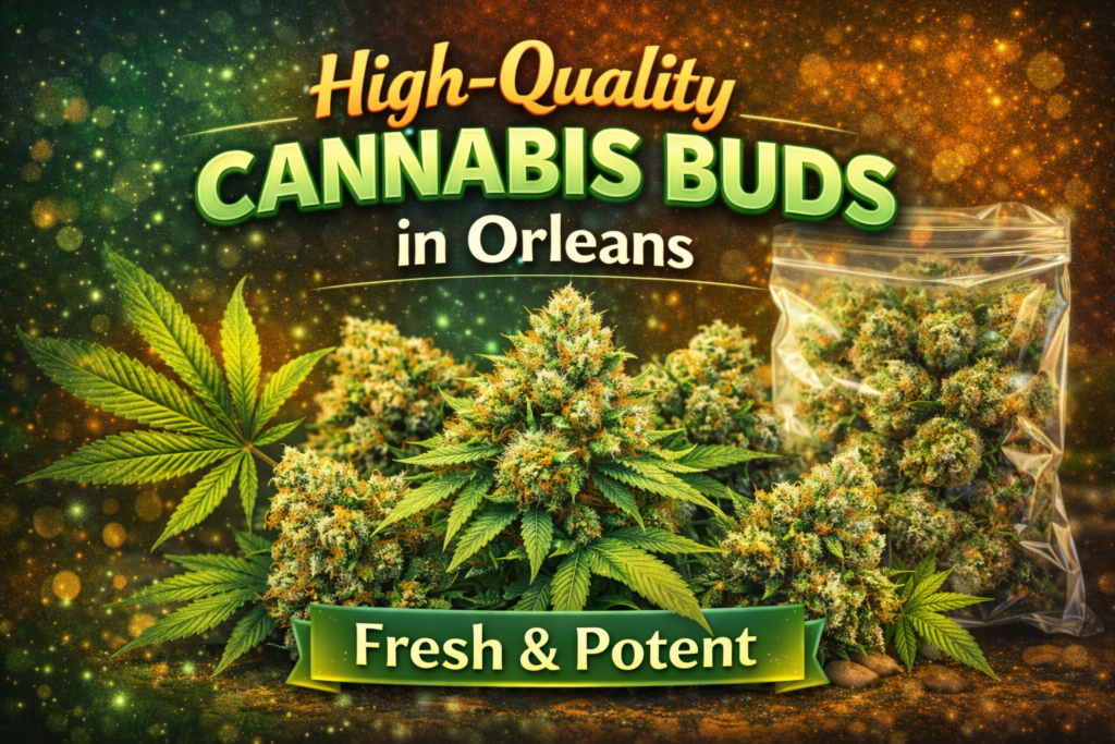 High-Quality Cannabis Buds