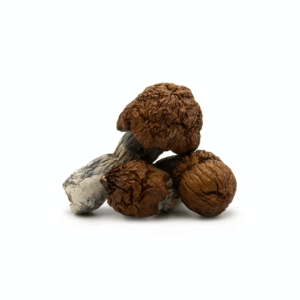 Almond Chocolate Bites ~ Mushrooms