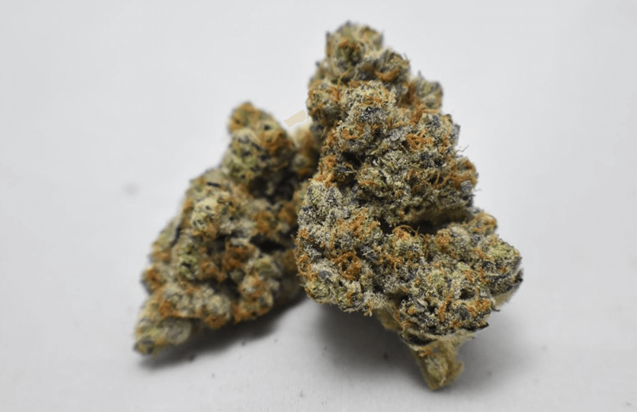 Grape Zkittlez Hybrid