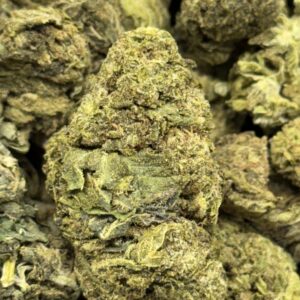 Green Apple Gas 🍏